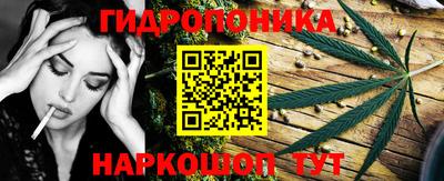 мдпв Вышний Волочёк