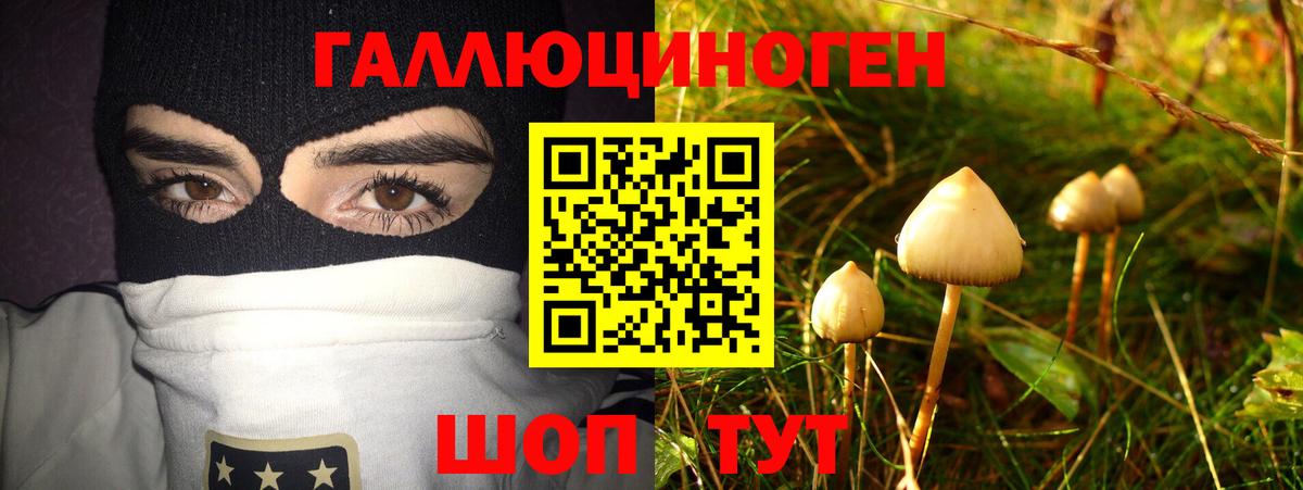 Галлюциногенные грибы Cubensis  купить   Архангельск  Вход с VPN 