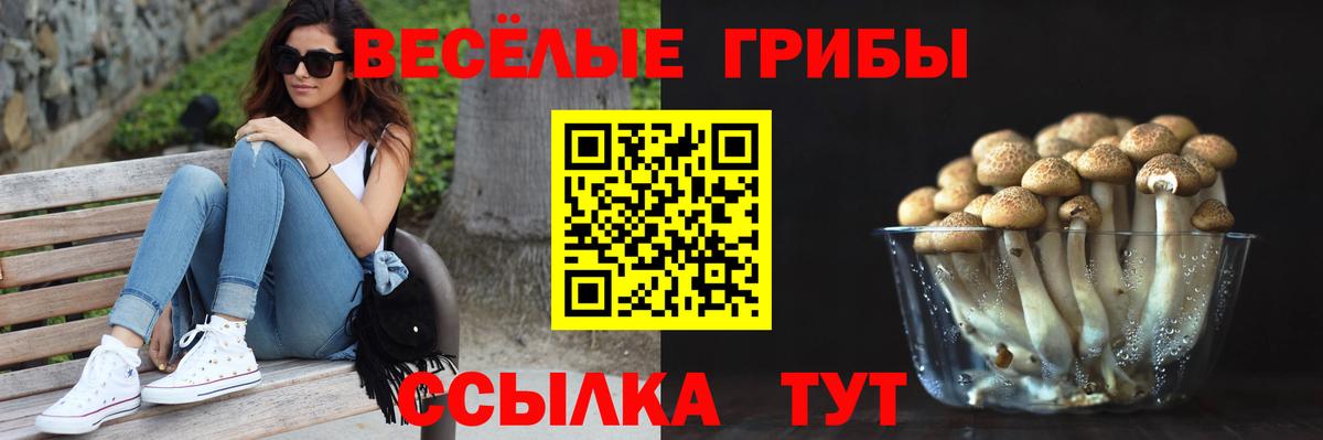Галлюциногенные грибы ЛСД Архангельск