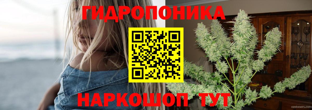 Конопля MAZAR  Вход с VPN  Архангельск  Шишки марихуана White Widow 